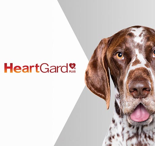 HeartGard product label