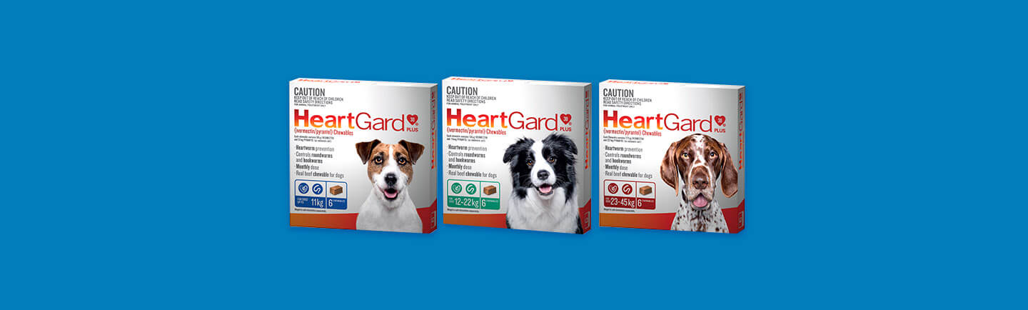 HeartGard product shots