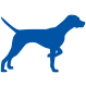 Dog care icon