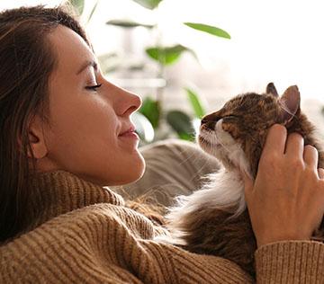 Female hugging her cute long hair kitty. Background, copy space, close up. Adorable domestic pet concept.