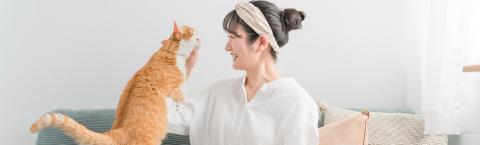 Woman playing with orange cat's mouth.