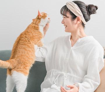 Woman playing with orange cat's open mouth.