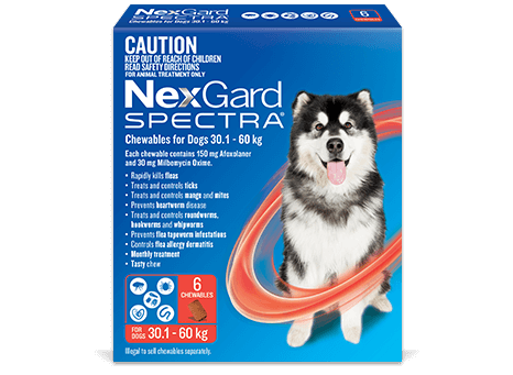 NexGard SPECTRA 30.1-60kg body weight pack