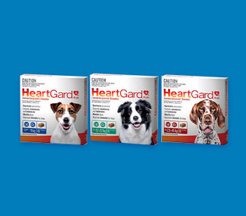 Heartgard30 Plus | Heartworm Prevention For Dogs | Nexgard® Range