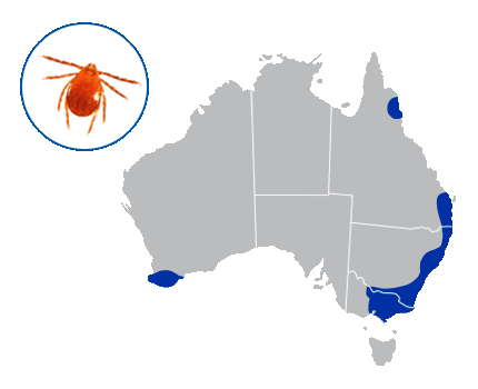Australian map indicating bush tick zones
