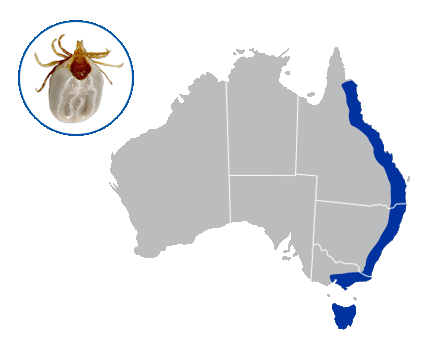 Australian map indicating paralysis tick zones