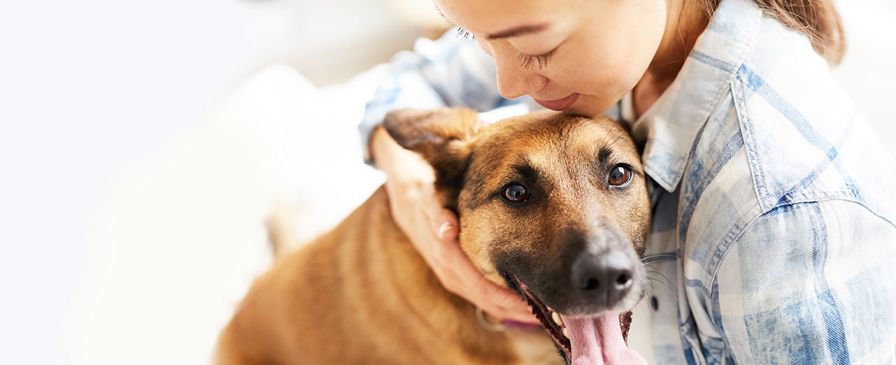 Over the counter outlet medicine for dog worms