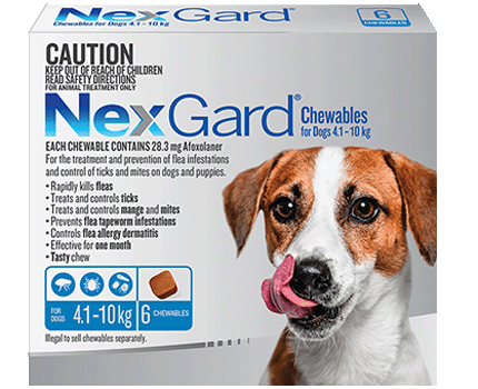 NexGard Medium Dog