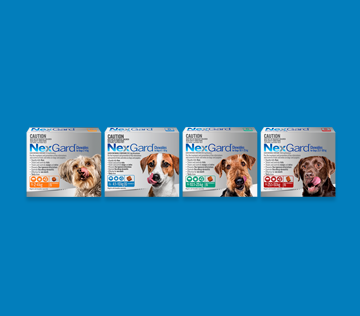 NexGard For Dogs Flea Tick Mite Treatment NexGard Range