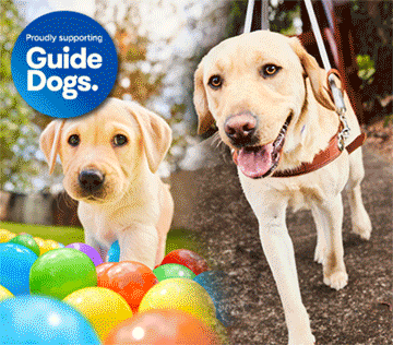 Guide dog