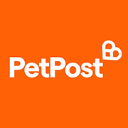 Pet Post NexGard Spectra for Cats