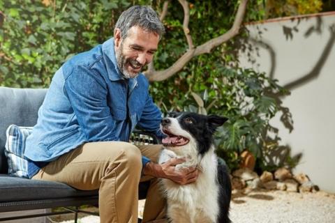 Dog behaviour - picture of a man with a border collie dog