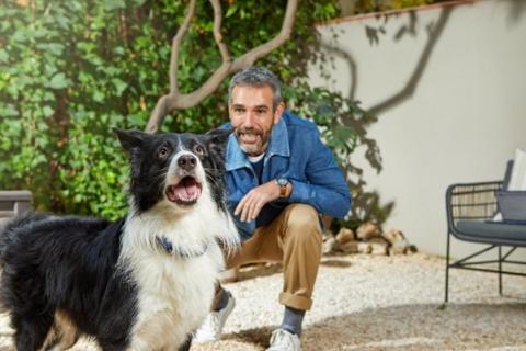 Dog body language - picture of a man with a border collie dog looking upwards