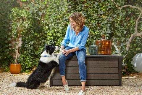 How to train your dog - woman with a border collie with paws on her knee