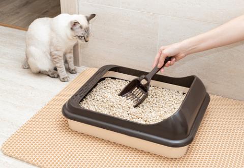 Cat litter tray